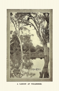 A Lagoon at Willsmere.